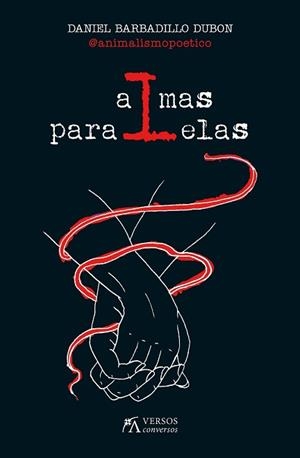 ALMAS PARALELAS | 9788417828103 | BARBADILLO DUBÓN,DANIEL | Llibreria Geli - Llibreria Online de Girona - Comprar llibres en català i castellà