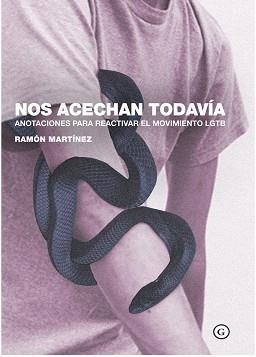 NOS ACECHAN TODAVÍA.ANOTACIONES PARA REACTIVAR EL MOVIMIENTO LGTB | 9788417319649 | MARTÍNEZ,RAMÓN | Llibreria Geli - Llibreria Online de Girona - Comprar llibres en català i castellà