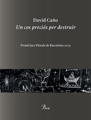 UN COS PRECIÓS PER DESTRUIR | 9788475887999 | CAÑO,DAVID | Libreria Geli - Librería Online de Girona - Comprar libros en catalán y castellano