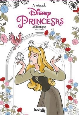 PRINCESAS.60 DIBUJOS ANTIESTRÉS | 9788417586072 | Llibreria Geli - Llibreria Online de Girona - Comprar llibres en català i castellà