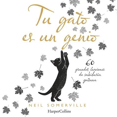 TU GATO ES UN GENIO.60 GRANDES LECCIONES DE SABIDURÍA GATUNA | 9788491394211 | SOMERVILLE,NEIL | Llibreria Geli - Llibreria Online de Girona - Comprar llibres en català i castellà