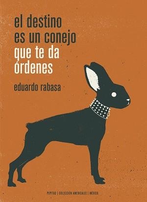 EL DESTINO ES UN CONEJO QUE TE DA ÓRDENES | 9788417386498 | RABASA SALINAS,EDUARDO | Libreria Geli - Librería Online de Girona - Comprar libros en catalán y castellano
