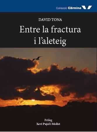 ENTRE LA FRACTURA I L'ALETEIG | 9788412082999 | TONA,DAVID | Libreria Geli - Librería Online de Girona - Comprar libros en catalán y castellano