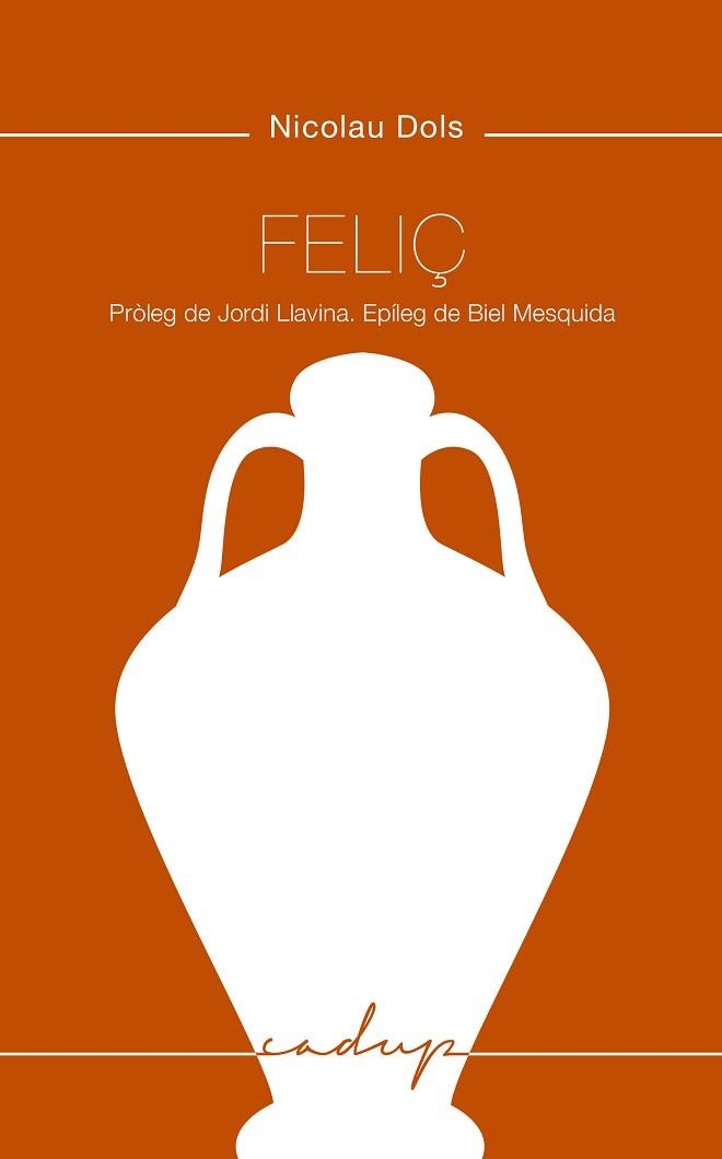 FELIÇ | 9788412068481 | DOLS,NICOLAU | Libreria Geli - Librería Online de Girona - Comprar libros en catalán y castellano