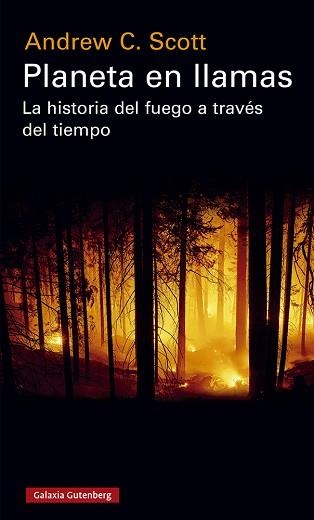 PLANETA EN LLAMAS.LA HISTORIA DEL FUEGO A TRAVÉS DEL TIEMPO | 9788417971588 | SCOTT,ANDREW C. | Libreria Geli - Librería Online de Girona - Comprar libros en catalán y castellano