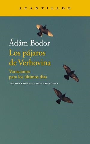 LOS PÁJAROS DE VERHOVINA.VARIACIONES PARA LOS ÚLTIMOS DÍAS | 9788417346706 | BODOR,ADAM | Libreria Geli - Librería Online de Girona - Comprar libros en catalán y castellano
