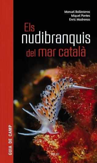 ELS NUDIBRANQUIS DEL MAR CATALÀ | 9788415885924 | BALLESTEROS VÁZQUEZ, MANUEL/PONTES GARCIA, MIQUEL/MADRENAS TOMÀS, ENRIC | Libreria Geli - Librería Online de Girona - Comprar libros en catalán y castellano