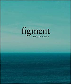FIGMENT | 9788480816717 | SAWA,FIGMENT | Llibreria Geli - Llibreria Online de Girona - Comprar llibres en català i castellà