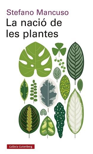 LA NACIÓ DE LES PLANTES | 9788417971564 | MANCUSO,STEFANO | Libreria Geli - Librería Online de Girona - Comprar libros en catalán y castellano