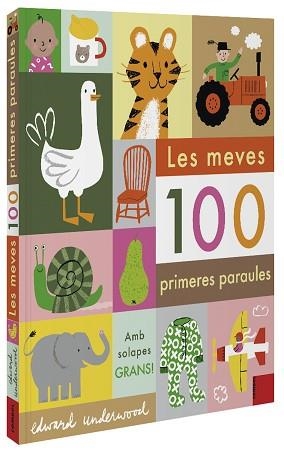 LES MEVES 100 PRIMERES PARAULES | 9788491015932 | UNDERWOOD,EDWARD | Libreria Geli - Librería Online de Girona - Comprar libros en catalán y castellano