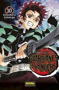 GUARDIANES DE LA NOCHE-10 | 9788467941579 | GOTOUGE,KOYOHARU | Llibreria Geli - Llibreria Online de Girona - Comprar llibres en català i castellà