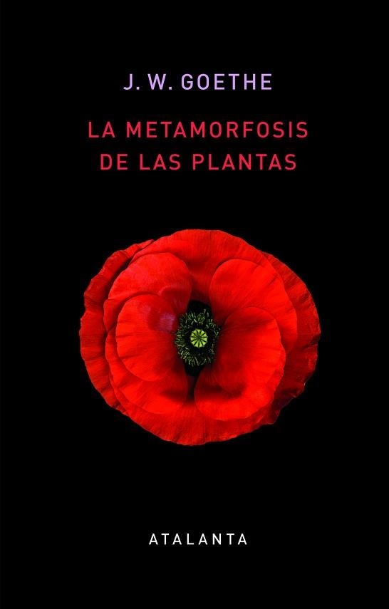 LA METAMORFOSIS DE LAS PLANTAS | 9788412074345 | GOETHE, JOHANN WOLFGANG | Libreria Geli - Librería Online de Girona - Comprar libros en catalán y castellano