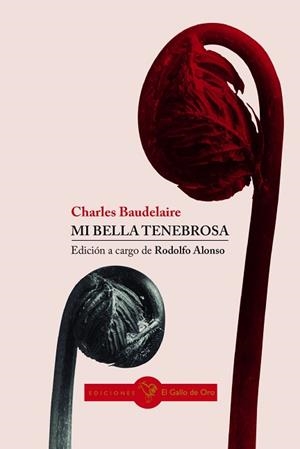 MI BELLA TENEBROSA | 9788416575640 | BAUDELARIE,CHARLES | Libreria Geli - Librería Online de Girona - Comprar libros en catalán y castellano