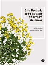 GUIA IL·LUSTRADA PER A CONÈIXER ELS ARBUSTS I LES LIANES | 9788491683735 | LLISTOSELLA VIDAL,JAUME/SÀNCHEZ-CUXART,ANTONI | Libreria Geli - Librería Online de Girona - Comprar libros en catalán y castellano