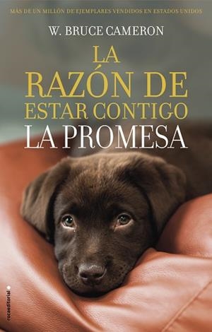 LA RAZÓN DE ESTAR CONTIGO.LA PROMESA | 9788417167103 | CAMERON, W. BRUCE | Llibreria Geli - Llibreria Online de Girona - Comprar llibres en català i castellà