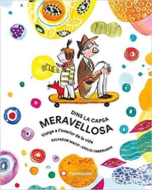 DINS LA CAPSA MERAVELLOSA | 9788494883224 | MACIP, SALVADOR | Libreria Geli - Librería Online de Girona - Comprar libros en catalán y castellano