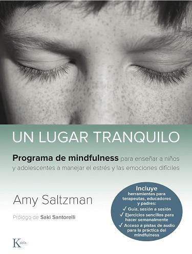 UN LUGAR TRANQUILO | 9788499887562 | SALTZMAN, AMY | Libreria Geli - Librería Online de Girona - Comprar libros en catalán y castellano