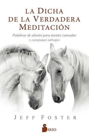 LA DICHA DE LA VERDADERA MEDITACIÓN | 9788418000522 | FOSTER,JEFF | Libreria Geli - Librería Online de Girona - Comprar libros en catalán y castellano