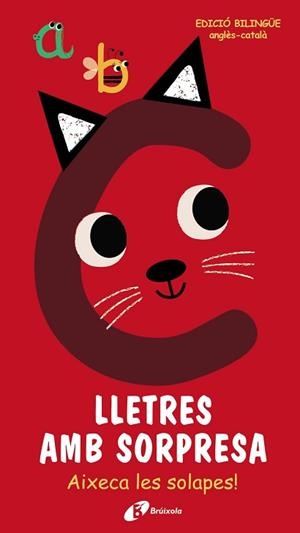 LLETRES AMB SORPRESA | 9788499063683 | Llibreria Geli - Llibreria Online de Girona - Comprar llibres en català i castellà