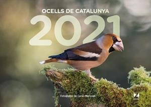 CALENDARI OCELLS DE CATALUNYA 2021 | 9781901175561 | Llibreria Geli - Llibreria Online de Girona - Comprar llibres en català i castellà