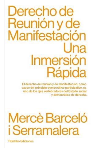 DERECHO DE REUNIÓN Y DE MANIFESTACIÓN.UNA INMERSIÓN RÁPIDA | 9788413475806 | BARCELÓ I SERRAMALERA,MERCÈ | Libreria Geli - Librería Online de Girona - Comprar libros en catalán y castellano