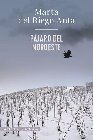 PÁJARO DEL NOROESTE | 9788413620558 | DEL RIEGO,MARTA | Libreria Geli - Librería Online de Girona - Comprar libros en catalán y castellano