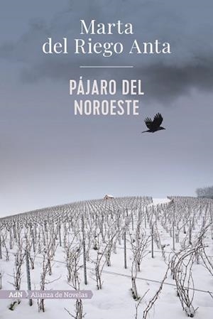 PÁJARO DEL NOROESTE | 9788413620558 | DEL RIEGO,MARTA | Llibreria Geli - Llibreria Online de Girona - Comprar llibres en català i castellà