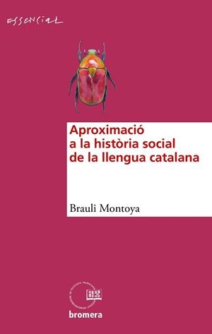 APROXIMACIÓ A LA HISTÒRIA SOCIAL DE LA LLENGUA CATALANA | 9788490268339 | MONTOY ABAT, BRAULI | Libreria Geli - Librería Online de Girona - Comprar libros en catalán y castellano