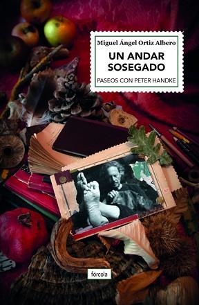 UN ANDAR SOSEGADO.PASEOS CON PETER HANDKE | 9788417425807 | ORTIZ ALBERO,MIGUEL ÁNGEL | Llibreria Geli - Llibreria Online de Girona - Comprar llibres en català i castellà