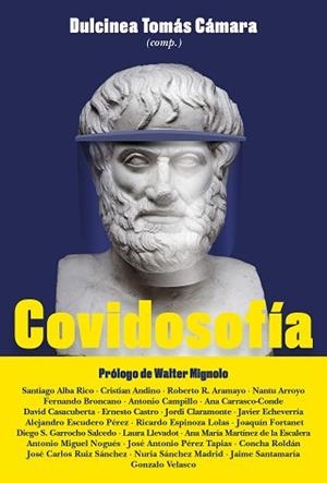 COVIDOSOFÍA.REFLEXIONES FILOSÓFICAS PARA EL MUNDO POSPANDEMIA | 9788449337543 | TOMÁS CÁMARA,DULCINEA(COMP.) | Libreria Geli - Librería Online de Girona - Comprar libros en catalán y castellano