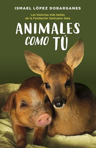 ANIMALES COMO TÚ.LAS HISTORIAS MÁS BELLAS DE LA FUNDACIÓN SANTUARIO GAIA | 9788418128189 | LÓPEZ DOBARGANES,ISMAEL | Libreria Geli - Librería Online de Girona - Comprar libros en catalán y castellano