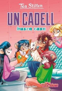 UN CADELL BUSCA CASA | 9788418134852 | STILTON,TEA | Llibreria Geli - Llibreria Online de Girona - Comprar llibres en català i castellà