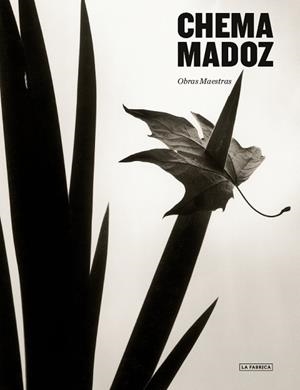 CHEMA MADOZ.OBRAS MAESTRAS | 9788417769673 | MADOZ,CHEMA | Llibreria Geli - Llibreria Online de Girona - Comprar llibres en català i castellà