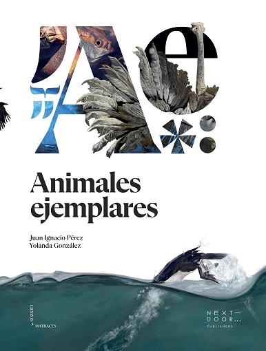 ANIMALES EJEMPLARES | 9788412159899 | PÉREZ IGLESIAS,JUAN IGNACIO | Libreria Geli - Librería Online de Girona - Comprar libros en catalán y castellano