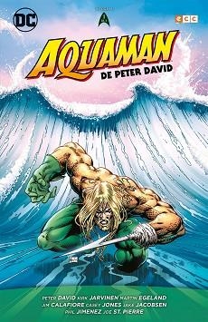 AQUAMAN DE PETER DAVID-1/3 | 9788417665630 | DAVID, PETER | Libreria Geli - Librería Online de Girona - Comprar libros en catalán y castellano