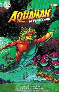 AQUAMAN DE PETER DAVID-2/3 | 9788417787271 | DAVID, PETER | Libreria Geli - Librería Online de Girona - Comprar libros en catalán y castellano