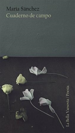 CUADERNO DE CAMPO | 9788494500763 | SÁNCHEZ RODRÍGUEZ,MARIA | Llibreria Geli - Llibreria Online de Girona - Comprar llibres en català i castellà