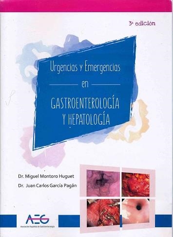 URGENCIAS Y EMERGENCIAS EN GASTROENTEROLOGÍA Y HEPATOLOGÍA(3ª EDICIÓN 2019) | 9788409104857 | MONTORO HUGUET,MIGUEL/GARCÍA PAGÁN,JUAN CARLOS | Llibreria Geli - Llibreria Online de Girona - Comprar llibres en català i castellà