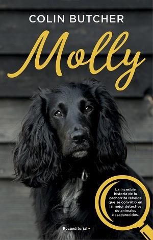 MOLLY | 9788417541033 | BUTCHER,COLIN | Libreria Geli - Librería Online de Girona - Comprar libros en catalán y castellano