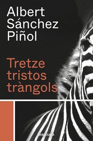TRETZE TRISTOS TRÀNGOLS | 9788418132384 | SÁNCHEZ PIÑOL,ALBERT | Libreria Geli - Librería Online de Girona - Comprar libros en catalán y castellano