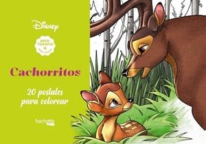 ARTETERAPIA.CACHORRITOS DISNEY | 9788417586560 | V.V.A.A. | Llibreria Geli - Llibreria Online de Girona - Comprar llibres en català i castellà
