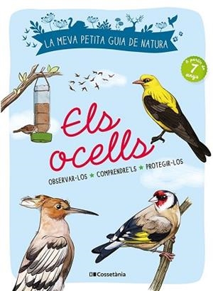 ELS OCELLS.OBSERVAR-LOS.COMPRENDRE'LS.PROTEGIR-LOS | 9788413560359 | LUCHESI,MICHEL | Llibreria Geli - Llibreria Online de Girona - Comprar llibres en català i castellà