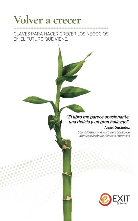 VOLVER A CRECER.CLAVES PARA HACER CRECER LOS NEGOCIOS EN EL FUTURO QUE VIENE | 9788497443333 | MARTIN MENENDEZ,JUAN MANUEL/DE OJEDA SILVA,ALFONSO RUIZ/KAISER RUIZ DEL OLMO,IGNACIO/VALVERDE L | Libreria Geli - Librería Online de Girona - Comprar libros en catalán y castellano