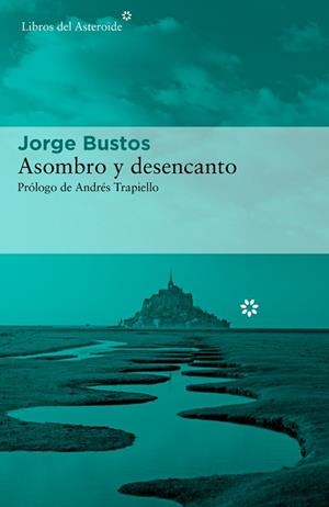 ASOMBRO Y DESENCANTO.DOS VIAJES POR CASTILLA Y FRANCIA | 9788417977573 | BUSTOS,JORGE | Llibreria Geli - Llibreria Online de Girona - Comprar llibres en català i castellà
