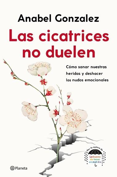 LAS CICATRICES NO DUELEN.CÓMO SANAR NUESTRAS HERIDAS Y DESHACER LOS NUDOS EMOCIONALES | 9788408239093 | GONZALEZ,ANABEL | Libreria Geli - Librería Online de Girona - Comprar libros en catalán y castellano