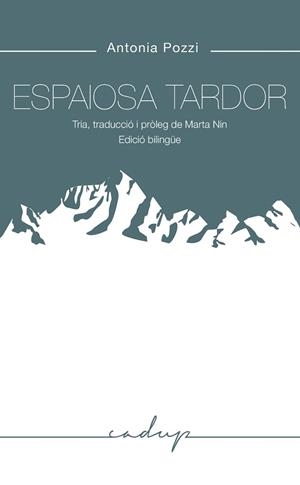 ESPAIOSA TARDOR | 9788412307214 | POZZI,ANTONIA | Libreria Geli - Librería Online de Girona - Comprar libros en catalán y castellano