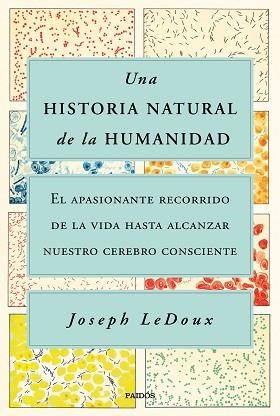 UNA HISTORIA NATURAL DE LA HUMANIDAD.EL APASIONANTE RECORRIDO DE LA VIDA HASTA ALCANZAR NUESTRO CEREBRO CONSCIENTE | 9788449338274 | LEDOUX,JOSEPH | Libreria Geli - Librería Online de Girona - Comprar libros en catalán y castellano