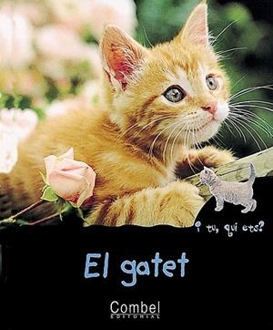 EL GATET | 9788478642304 | MARIE,CHRISTIAN | Llibreria Geli - Llibreria Online de Girona - Comprar llibres en català i castellà