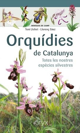 ORQUÍDIES DE CATALUNYA.TOTES LES NOSTRES ESPÈCIES SILVESTRES | 9788413560403 | SÀEZ GOÑALONS,LLORENÇ/LLOBET FRANÇOIS,TONI | Libreria Geli - Librería Online de Girona - Comprar libros en catalán y castellano