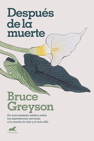 DESPUÉS DE LA MUERTE | 9788418045578 | GREYSON,BRUCE | Libreria Geli - Librería Online de Girona - Comprar libros en catalán y castellano